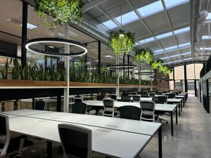 espacio coworking El Trellat