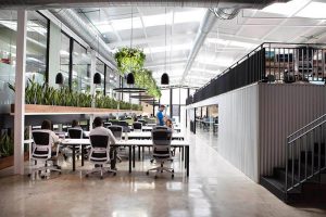 espacio coworking El Trellat